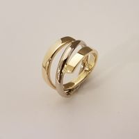 Bi-color ring, combinatie goud van de klant en nieuw wit goud